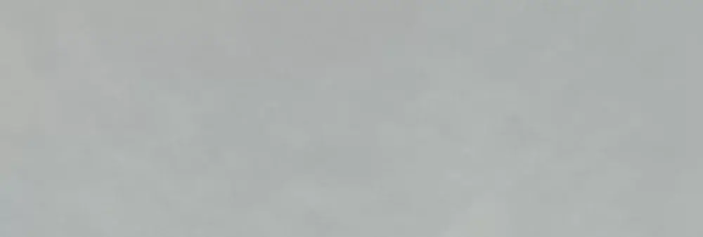 iris acqua décor.webp