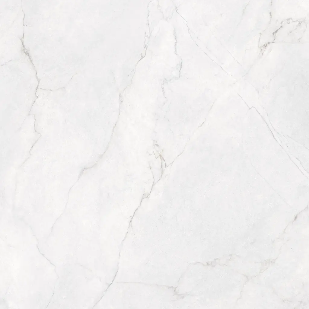 DISCOVER BLANCO.webp