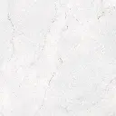 DISCOVER BLANCO.webp