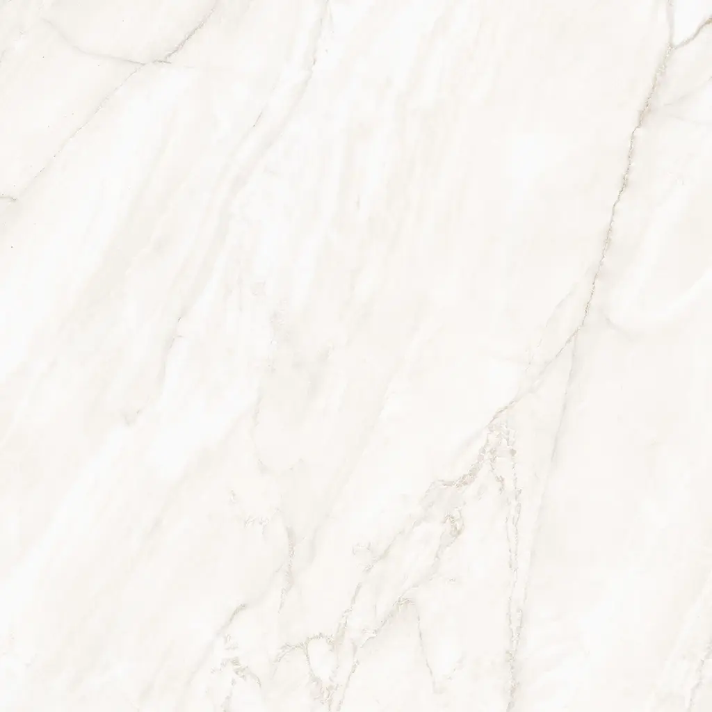 CLARKE SHINE BONE.webp