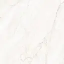 CLARKE SHINE BONE.webp