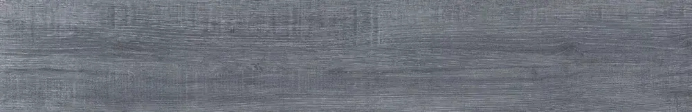 forest antracita.webp